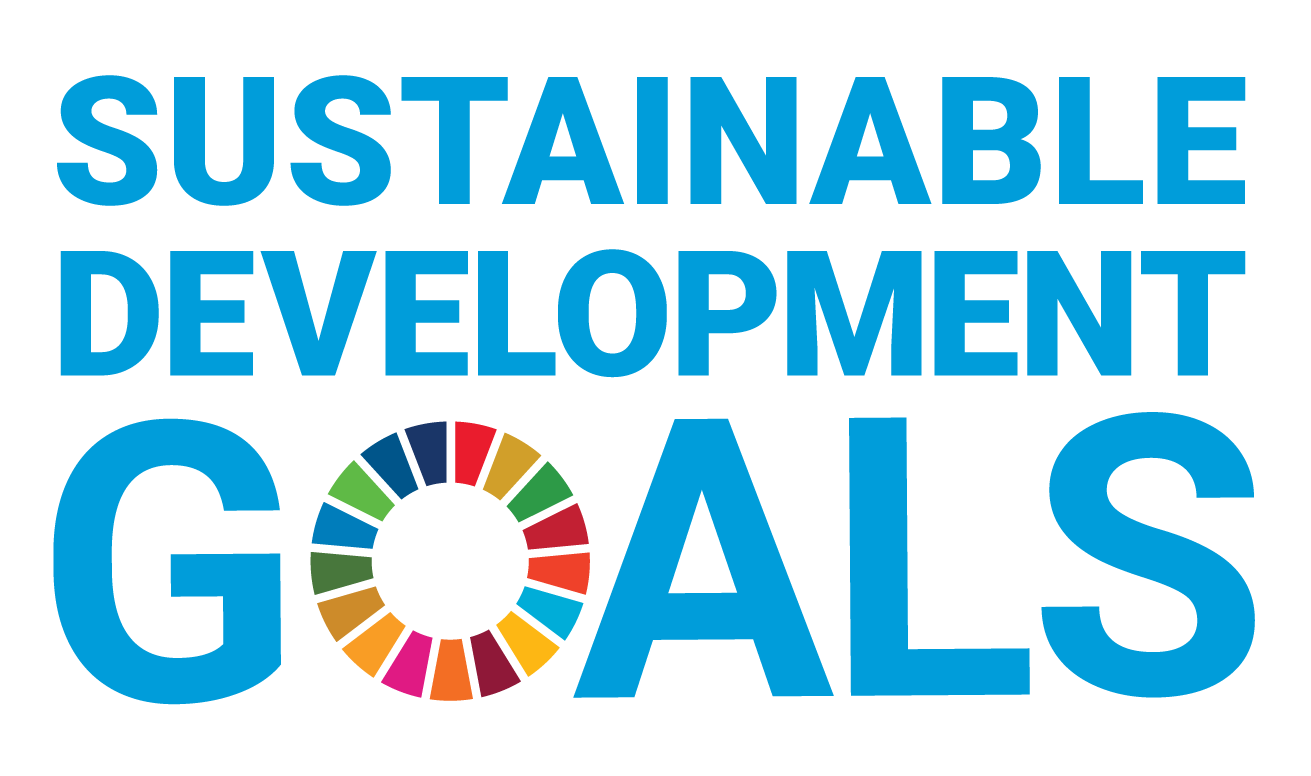  Sustainable Development Goals logo